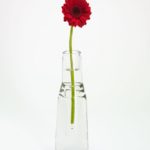 glass-water-flower-vases-flower-vases-920x1225-1